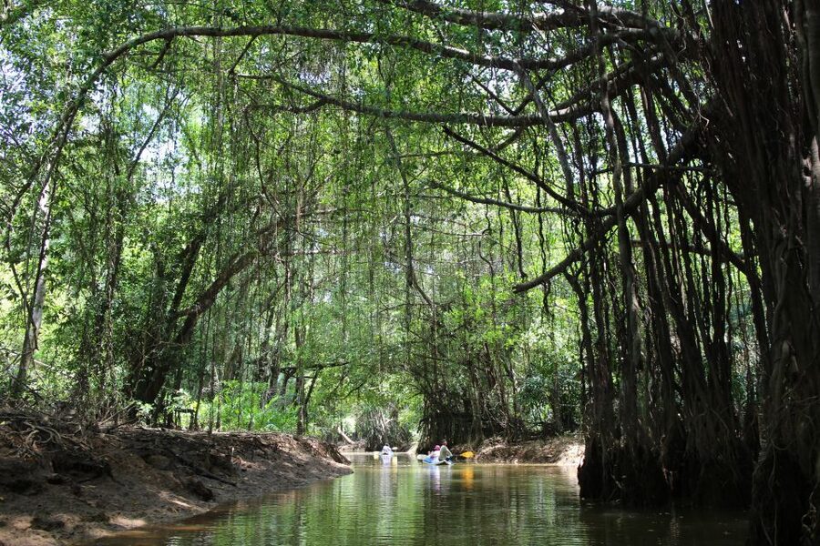 Khao Lak: Sri Phang Nga Canoe and Tam Nang Waterfall Tour - Key things to know before booking