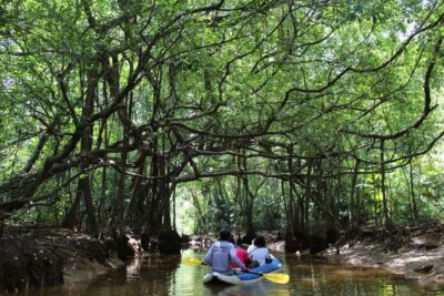 Khao Lak: Sri Phang Nga Canoe and Tam Nang Waterfall Tour