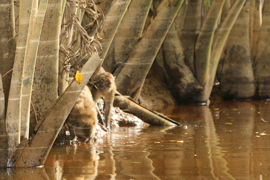 Khao Lak: Sri Phang Nga Canoe and Tam Nang Waterfall Tour - Who will enjoy this eight-hour outing
