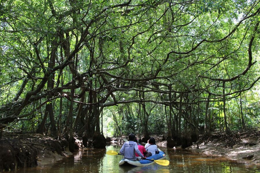 Khao Lak: Sri Phang Nga Canoe and Tam Nang Waterfall Tour - Starting from Khao Lak and reaching Takuapa