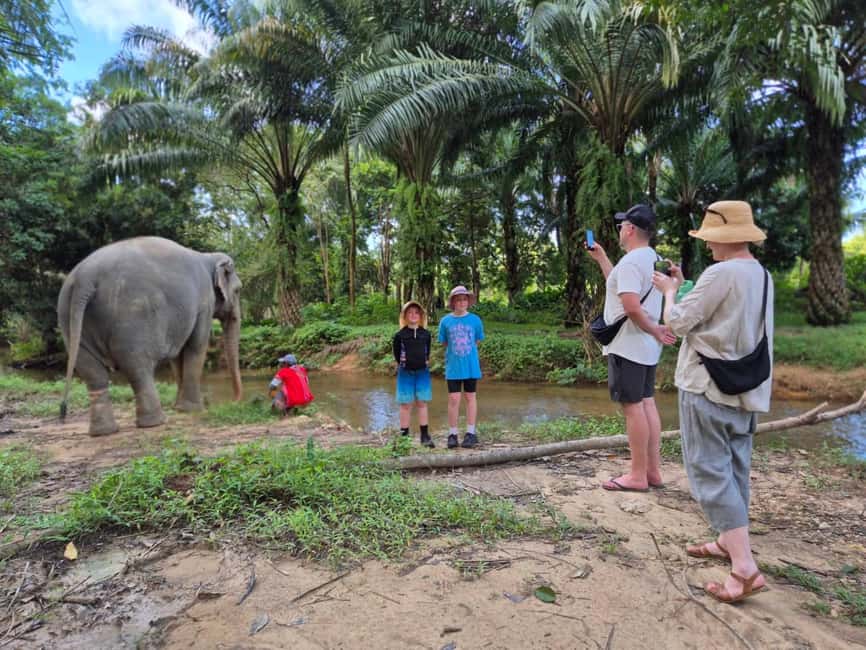 Khao Lak: Waterfall,Sea Turtle,Elephant Care,Meal & Transfer - Key points to know before booking