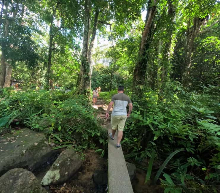 Khao Lak: Waterfall,Sea Turtle,Elephant Care,Meal & Transfer - Should you book this tour?