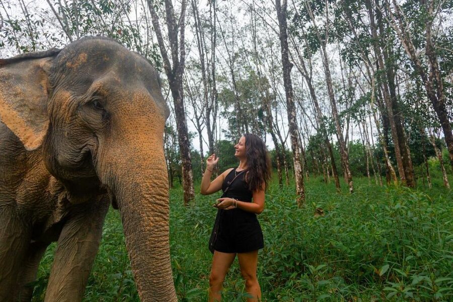 Khao Lak: Waterfall,Sea Turtle,Elephant Care,Meal & Transfer - Why the elephant sanctuary is the heart of the trip