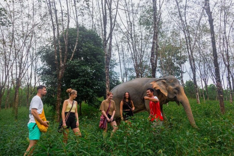 Khao Lak: Waterfall,Sea Turtle,Elephant Care,Meal & Transfer - The turtle center adds a conservation lesson