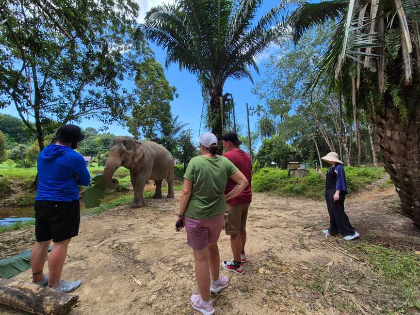 Khao Lak: Waterfall,Sea Turtle,Elephant Care,Meal & Transfer - My take on the guide and the overall experience