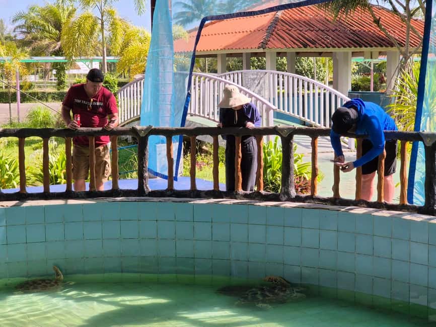 Khao Lak: Waterfall,Sea Turtle,Elephant Care,Meal & Transfer - Sai Rung Waterfall gives the morning a refreshing change
