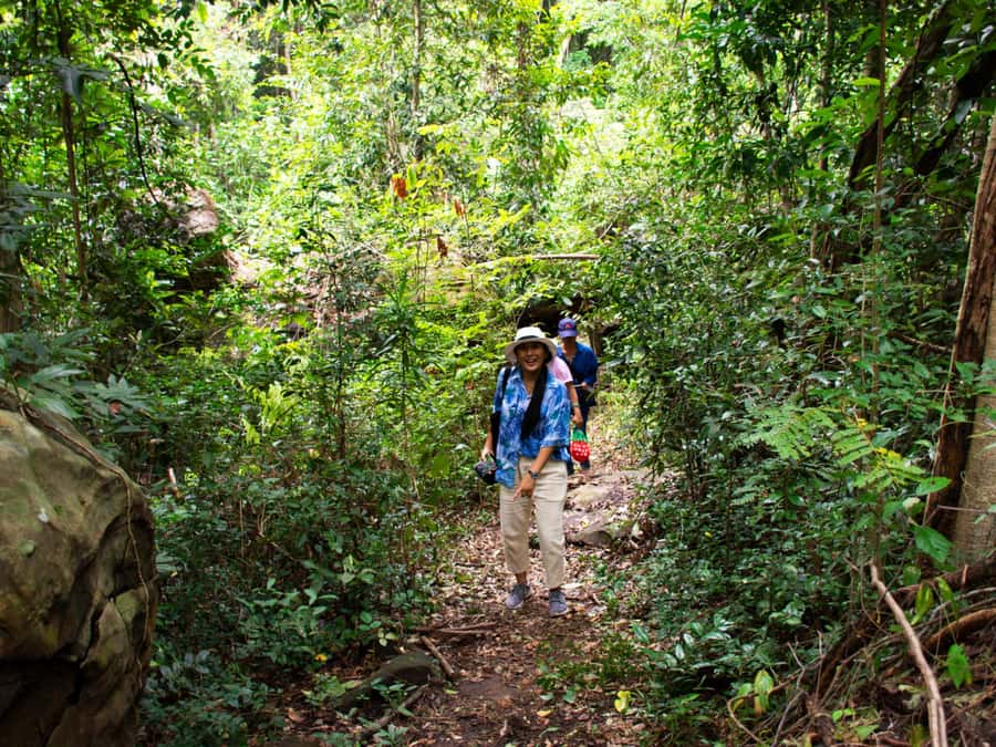 Khao Sok: Private Jungle Trek, Waterfall Swim & Bamboo Lunch - Key points at a glance