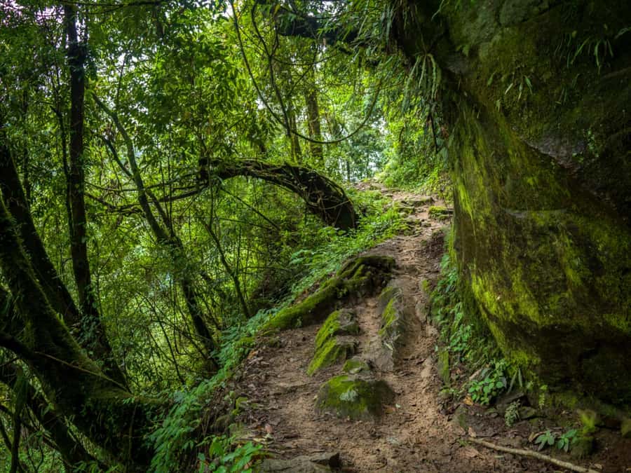 Khao Sok: Private Jungle Trek, Waterfall Swim & Bamboo Lunch - Returning through the forest and river area