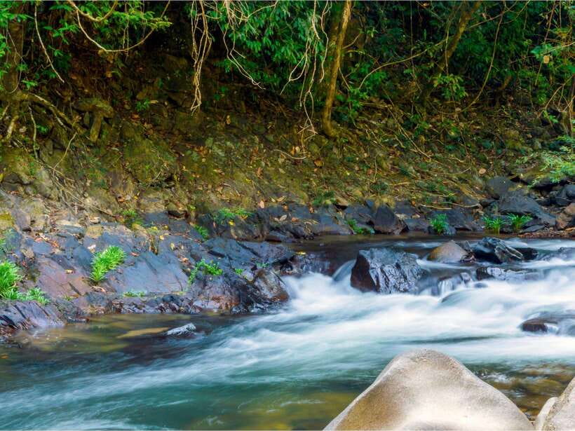 Khao Sok: Private Waterfalls and Wildlife Half-Day Trek - Should you book the Khao Sok waterfalls trek?
