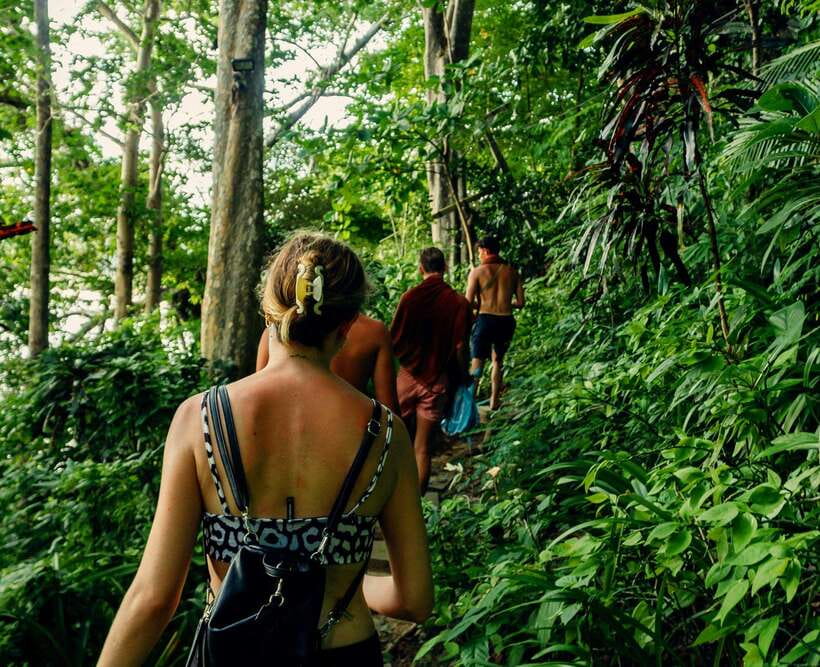 Khao Sok: Private Waterfalls and Wildlife Half-Day Trek - Searching the rainforest for monkeys, gibbons, and tiny creatures