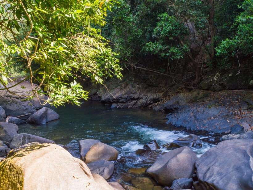 Khao Sok: Private Waterfalls and Wildlife Half-Day Trek - Practical booking advice for a smoother day