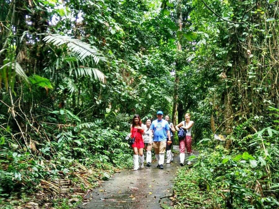 Khao Yai National Park: Waterfalls - Heaw narok & Heaw Suwat - Why this Khao Yai day trip works