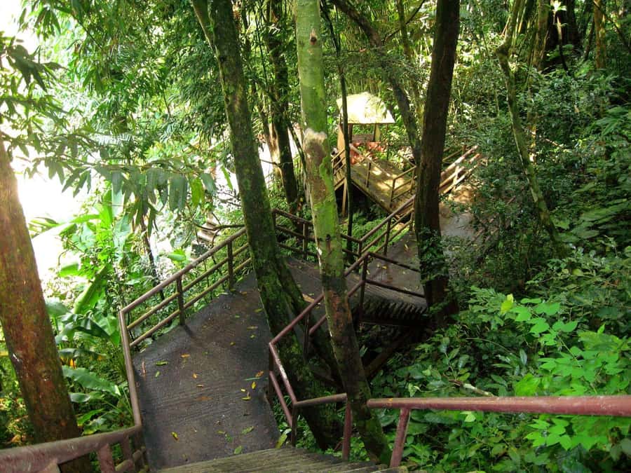 Khao Yai National Park: Waterfalls - Heaw narok & Heaw Suwat - Relaxing beside Haew Suwat Waterfall
