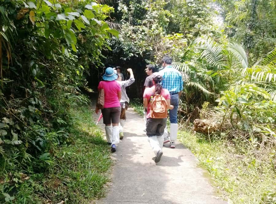 Khao Yai National Park: Waterfalls - Heaw narok & Heaw Suwat - Thai lunch, cold towels, and a useful midday pause