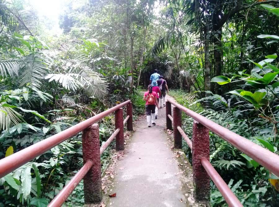 Khao Yai National Park: Waterfalls - Heaw narok & Heaw Suwat - When to go and what to pack