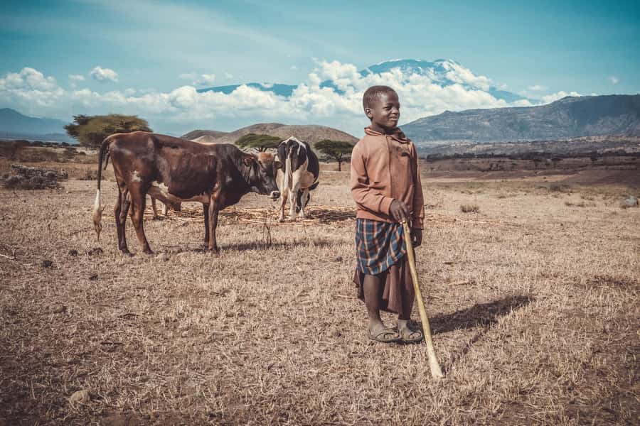 Kilimanjaro: Maasai Village Visit, Waterfalls, & Coffee Tour - Key points at a glance