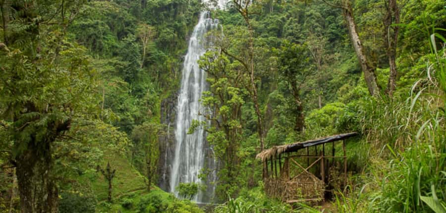 Kilimanjaro: Maasai Village Visit, Waterfalls, & Coffee Tour - Meeting a Maasai community near Kilimanjaro Airport