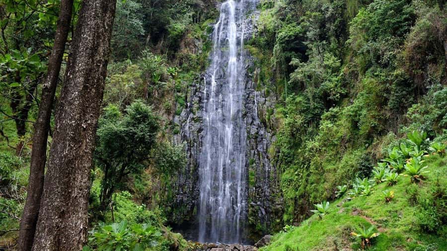 Kilimanjaro: Maasai Village Visit, Waterfalls, & Coffee Tour - Who should book this experience?