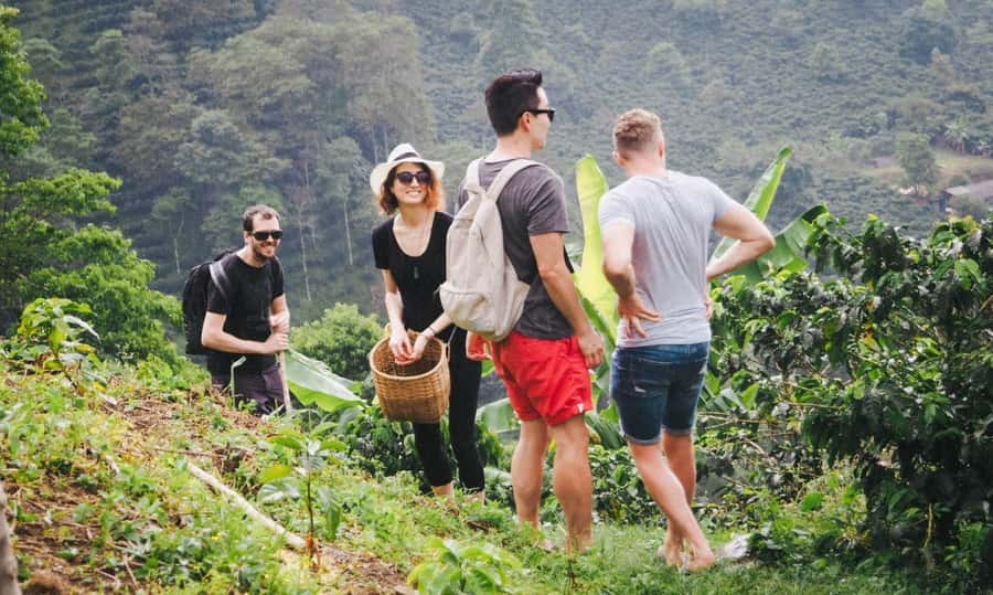 Kilimanjaro: Village Walk, Coffee Tour, Waterfall, and Lunch - Starting in Moshi, Arusha, or at the airport
