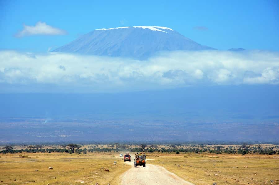 Kilimanjaro: Village Walk, Coffee Tour, Waterfall, and Lunch - A Chagga lunch with local ingredients