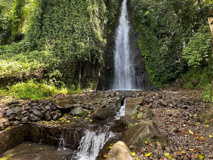 Kingstown: Cascading Dark View Falls and Beach Tour - From Kingstown to Saint Vincent’s fishing villages