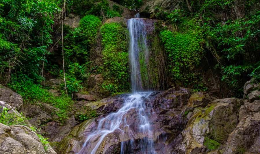 Ko Samui: Tree Bridge Jungle Zipline and Waterfall Adventure - Eight ziplines above Koh Samui’s jungle