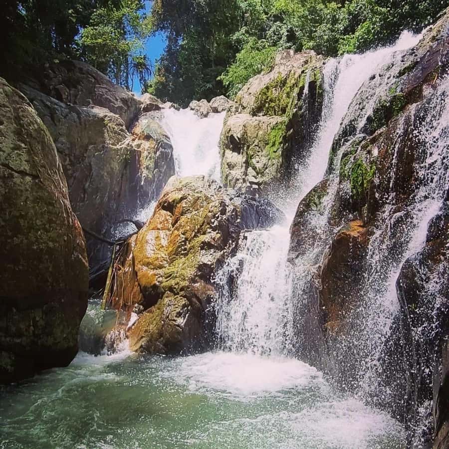Ko Samui: X Quad Beginner Waterfall ATV Tour (1 Driver) - Who will enjoy this ride most