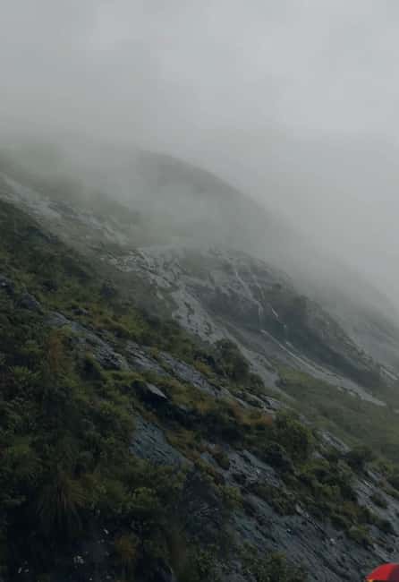 Kochi to Munnar: Eravikulam, lockhart & Waterfalls day tour - Why this Munnar day works from Kochi
