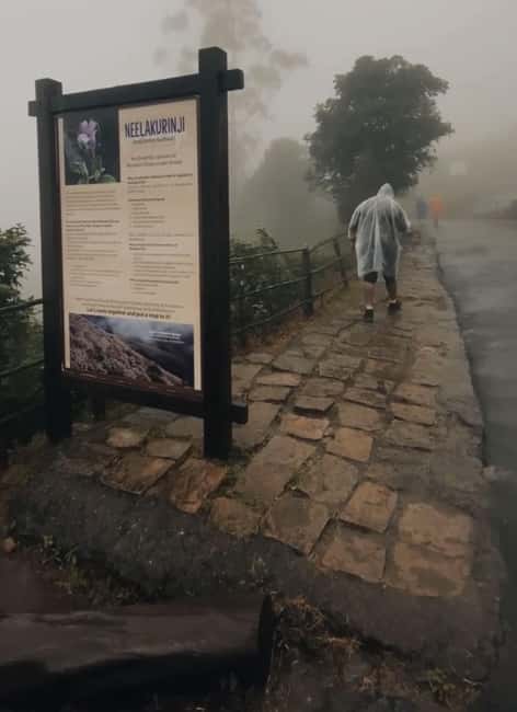 Kochi to Munnar: Eravikulam, lockhart & Waterfalls day tour - Eravikulam National Park and the Nilgiri Tahr