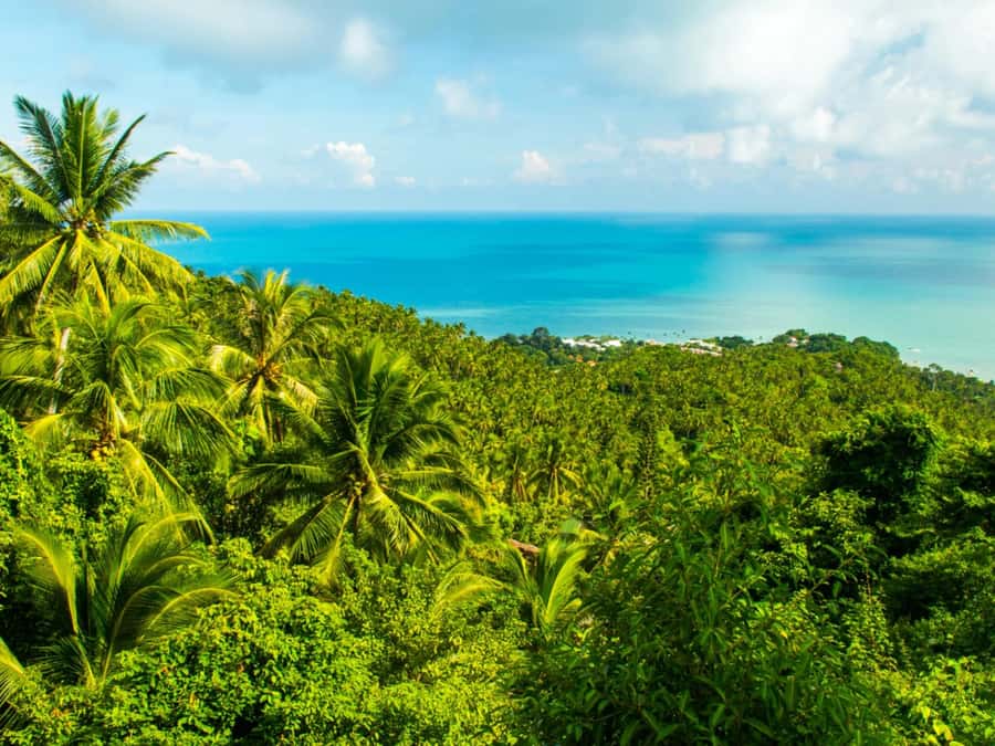 Koh Samui: Jungle, Mountains and Waterfalls ATV Tour - The two-hour route and what you actually do