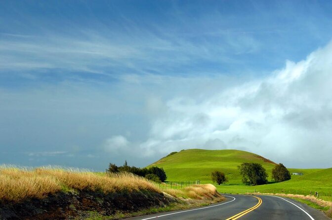 Kohala Waterfalls Small Group Adventure Tour - Key points at a glance