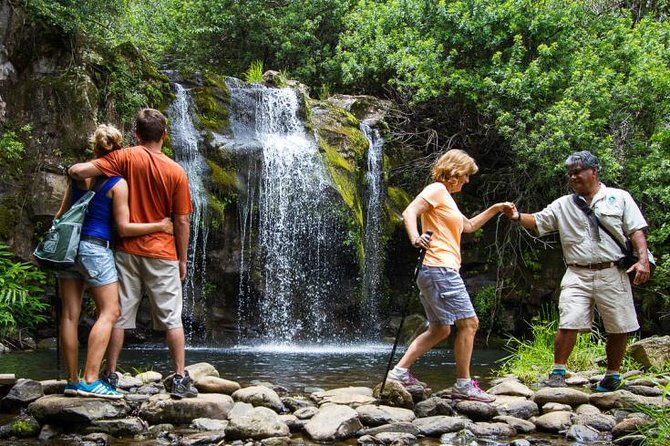 Kohala Waterfalls Small Group Adventure Tour - Waterfalls and the cold swimming pool