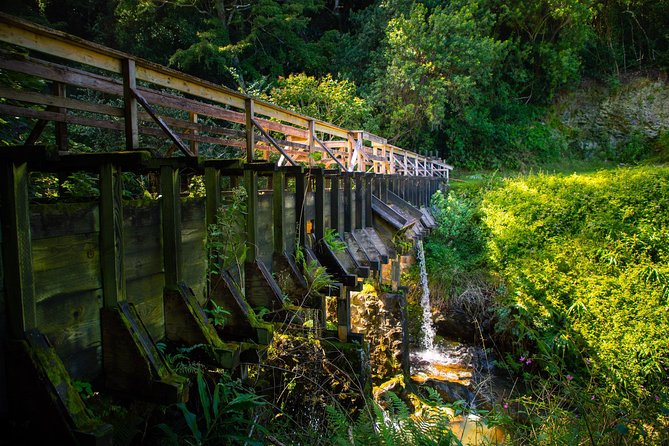 Kohala Waterfalls Small Group Adventure Tour - What the $267.02 price really covers