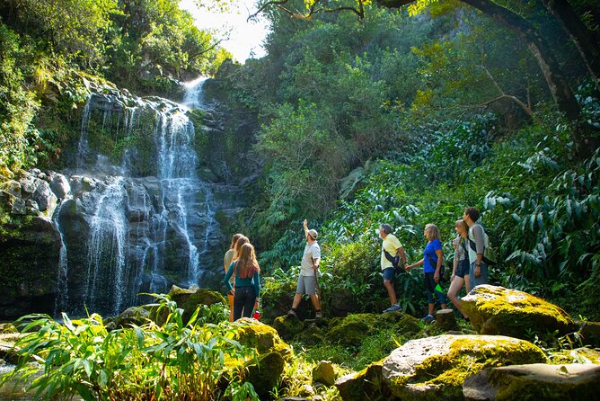 Kohala Waterfalls Small Group Adventure Tour - The early meeting point and van ride