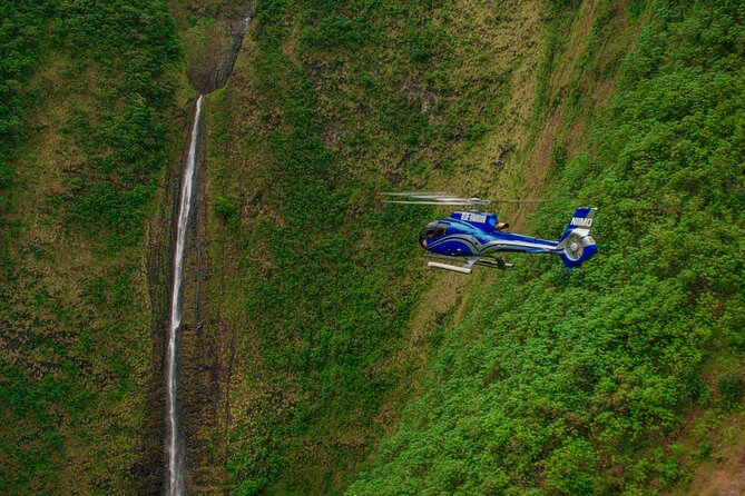 Kohala Waterfalls & Valleys Helicopter Tour - A 45-minute route through ranch country and steep valleys