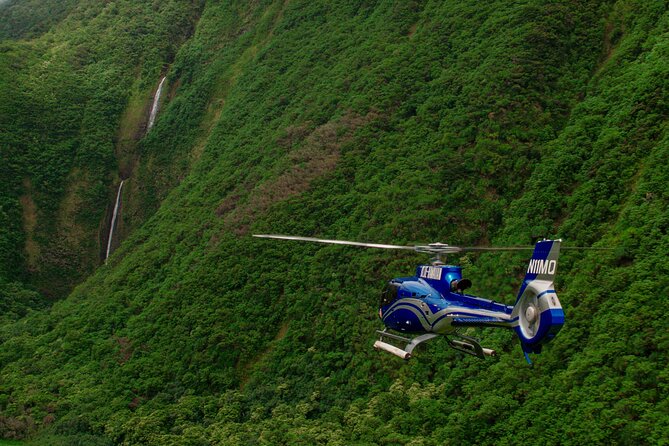Kohala Waterfalls with Exclusive Landing Helicopter Tour - Beaches, cliffs, and the Valley of the Kings