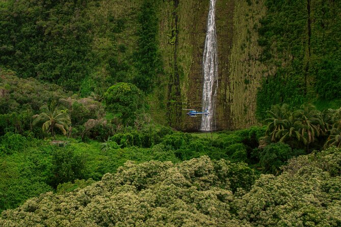 Kohala Waterfalls with Exclusive Landing Helicopter Tour - Practical preparation for a smooth departure