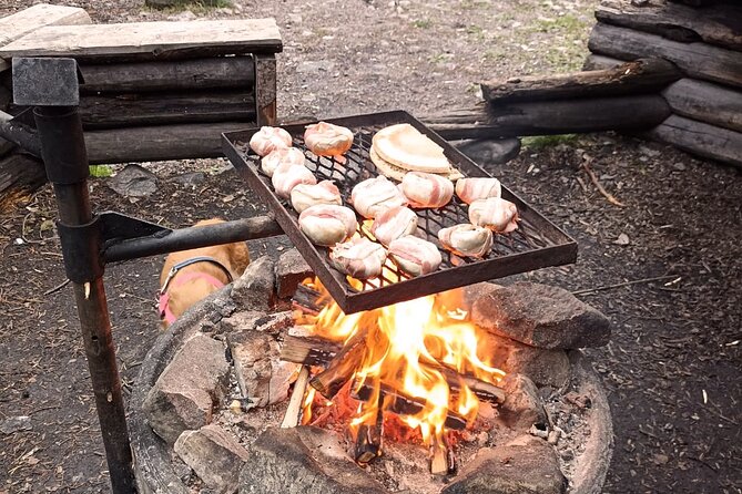 Korouoma Canyon: Frozen Waterfalls Hike & BBQ Experience - A Finnish fire stop with sausages and rice pies