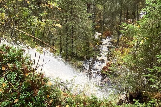 Korouoma Canyon: Frozen Waterfalls Hike & BBQ Experience - Is the $121 price good value?