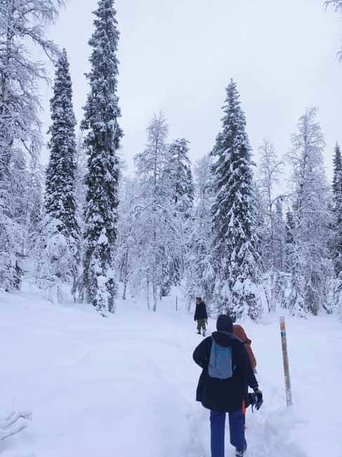 Korouoma Canyon Frozen Waterfalls Hike & Private Teepee BBQ - Why Korouoma Canyon is worth the drive from Rovaniemi
