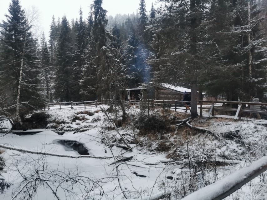 Korouoma Canyon Frozen Waterfalls Hike & Private Teepee BBQ - Walking the 5-kilometer Korouoma route