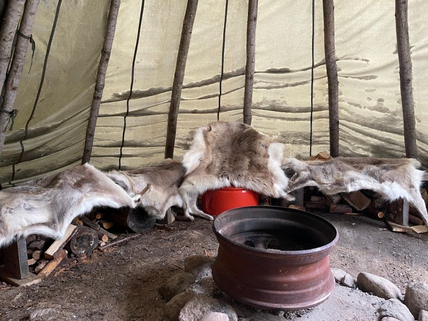 Korouoma Canyon Frozen Waterfalls Hike & Private Teepee BBQ - Wildlife signs rather than guaranteed sightings