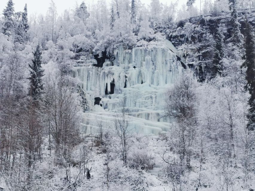 Korouoma Canyon Frozen Waterfalls Hike & Private Teepee BBQ - The Rovaniemi pickup and the road into the forest