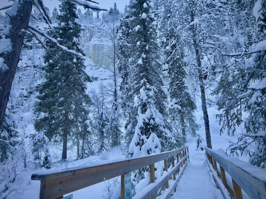Korouoma: Frozen Waterfall Hiking Tour - Key points to know before booking