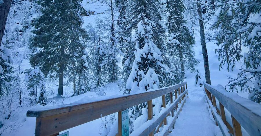Korouoma: Frozen Waterfall Hiking Tour - Why Korouoma’s frozen waterfalls are worth the long drive