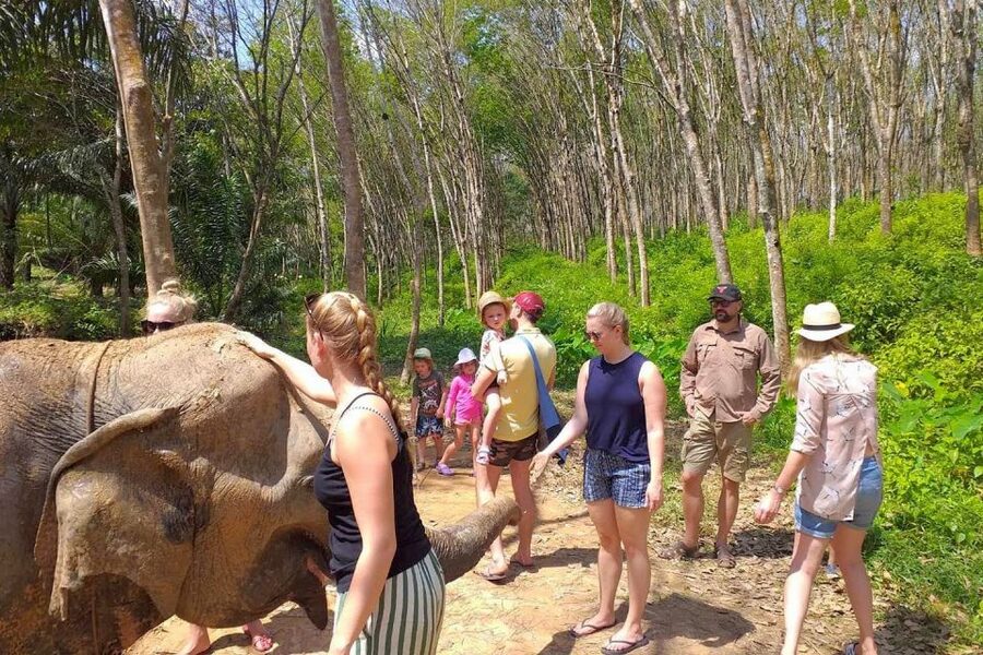 Krabi: Elephant Care House & 7-Level Huay Tho Waterfall Trip - Meeting elephants at the foot of Phanom Bencha Mountain
