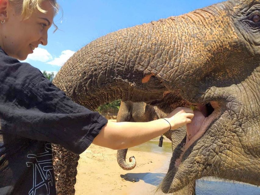 Krabi: Elephant Care House & 7-Level Huay Tho Waterfall Trip - Hiking to all seven levels of Huay Tho Waterfall