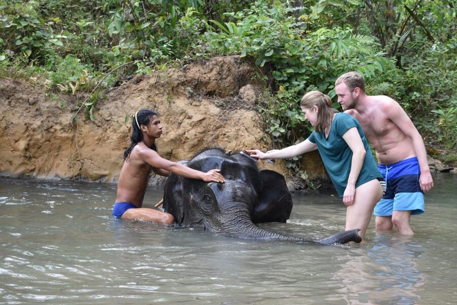 Krabi: Elephant Care House & 7-Level Huay Tho Waterfall Trip - Who will enjoy this day most