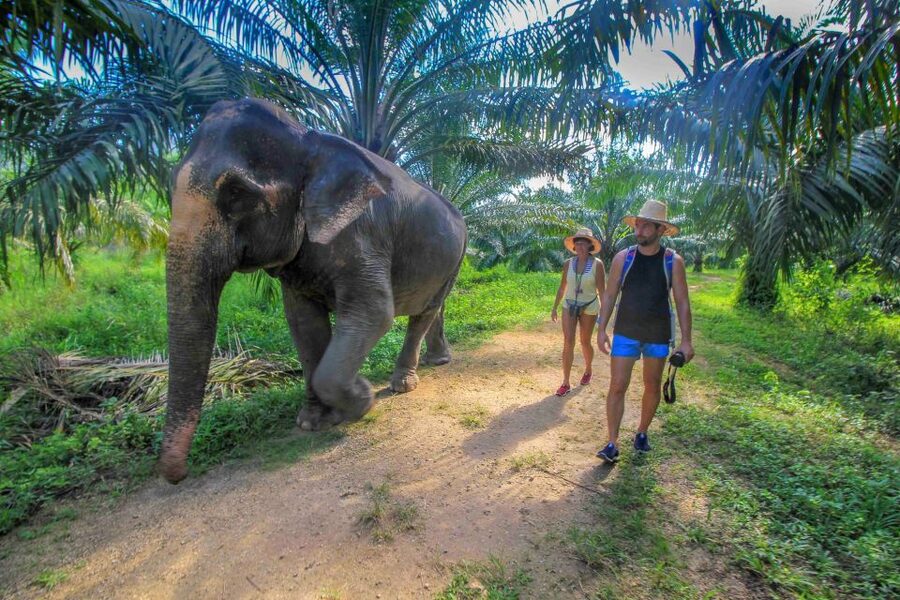 Krabi: Elephant Care House & 7-Level Huay Tho Waterfall Trip - What to pack and how to prepare
