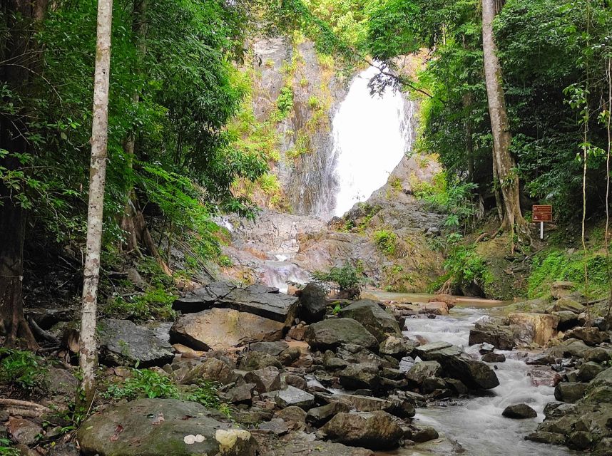 Krabi: Elephant Care House & 7-Level Huay Tho Waterfall Trip - Feeding bananas, pineapples, and more